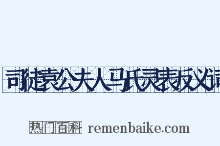 司徒袁公夫人马氏灵表反义词是什么意思的图片